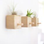 diy-tesa-wandhaken-holz-tillandsien-selbstgemacht-wand-gingered-things